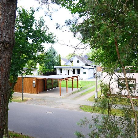 Haus Kleiner Findling Im Lausitzer Seenland Tätzschwitz Exteriér fotografie